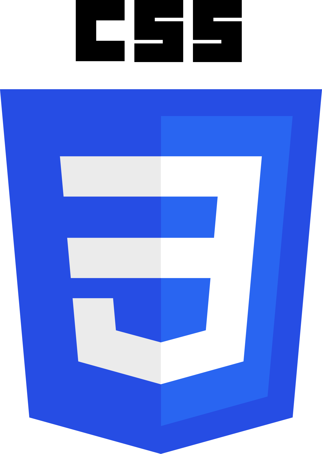 CSS3_logo_and_wordmark